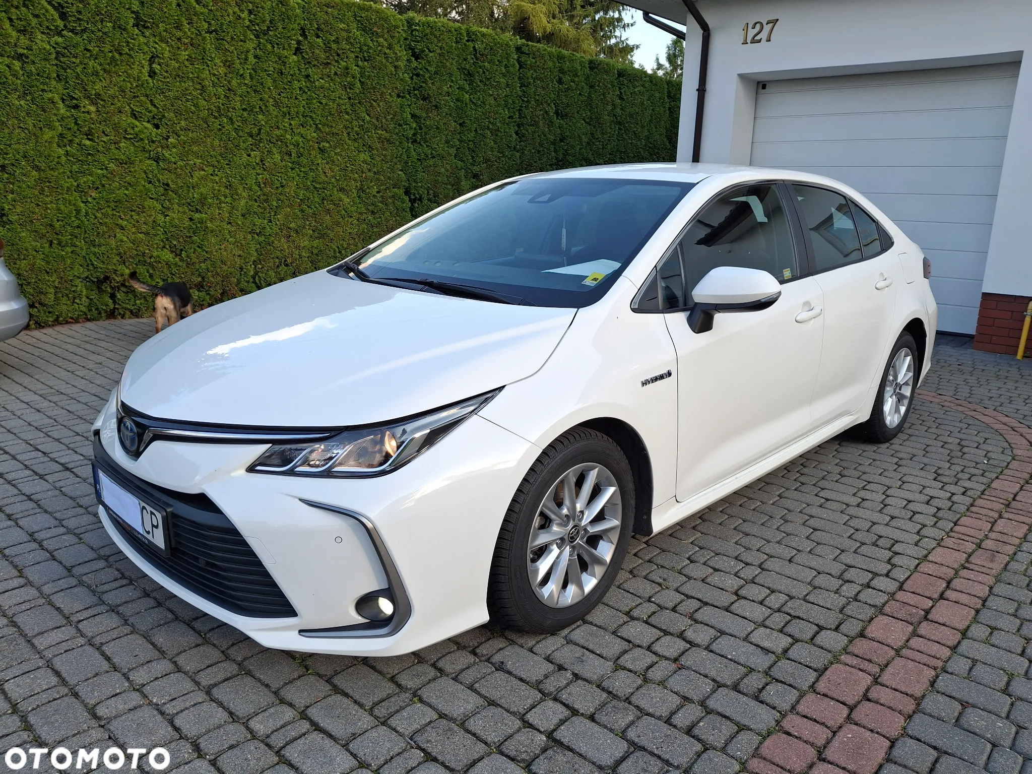 Toyota Corolla 1.8 Hybrid Comfort - 4