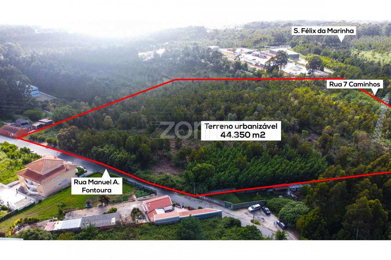 Terreno para construção em Serzedo, junto a São Félix da Marinha - Grande imagem: 3/15