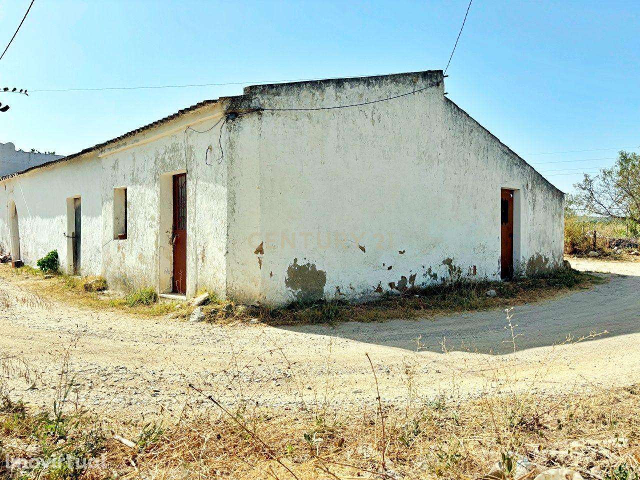 Oportunidade de aquisição conjunta – Dois imóveis no Brejo, Luz de Tav - Grande imagem: 4/29