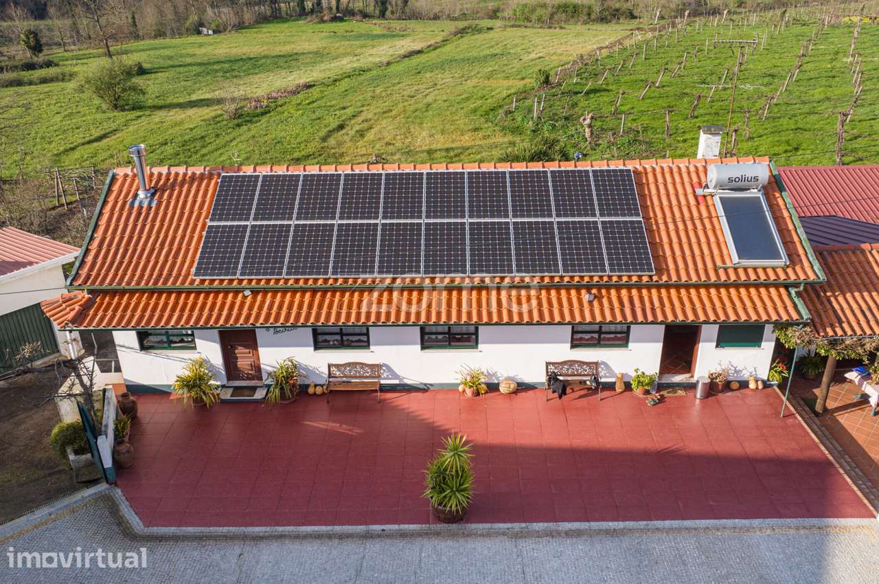 Propriedade Rural em Meinedo - Duas Moradias Lousada - Grande imagem: 4/60