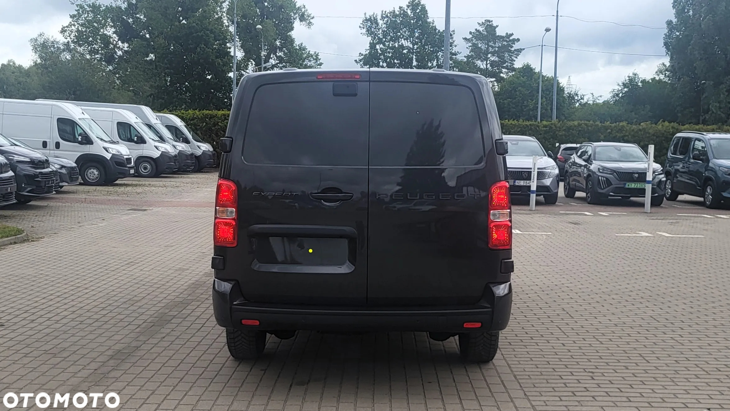 Peugeot Expert brygadowy - 7