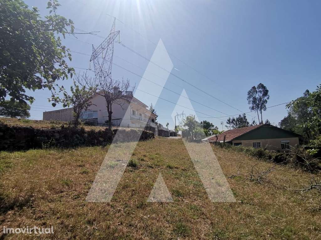 Terreno Urbano para Construção de Moradia nas Frias - Albergaria-a-... - Grande imagem: 5/11