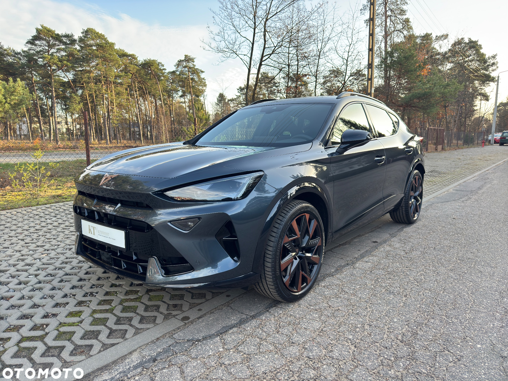 Cupra Formentor 2.0 TSI 4Drive VZ DSG - 2