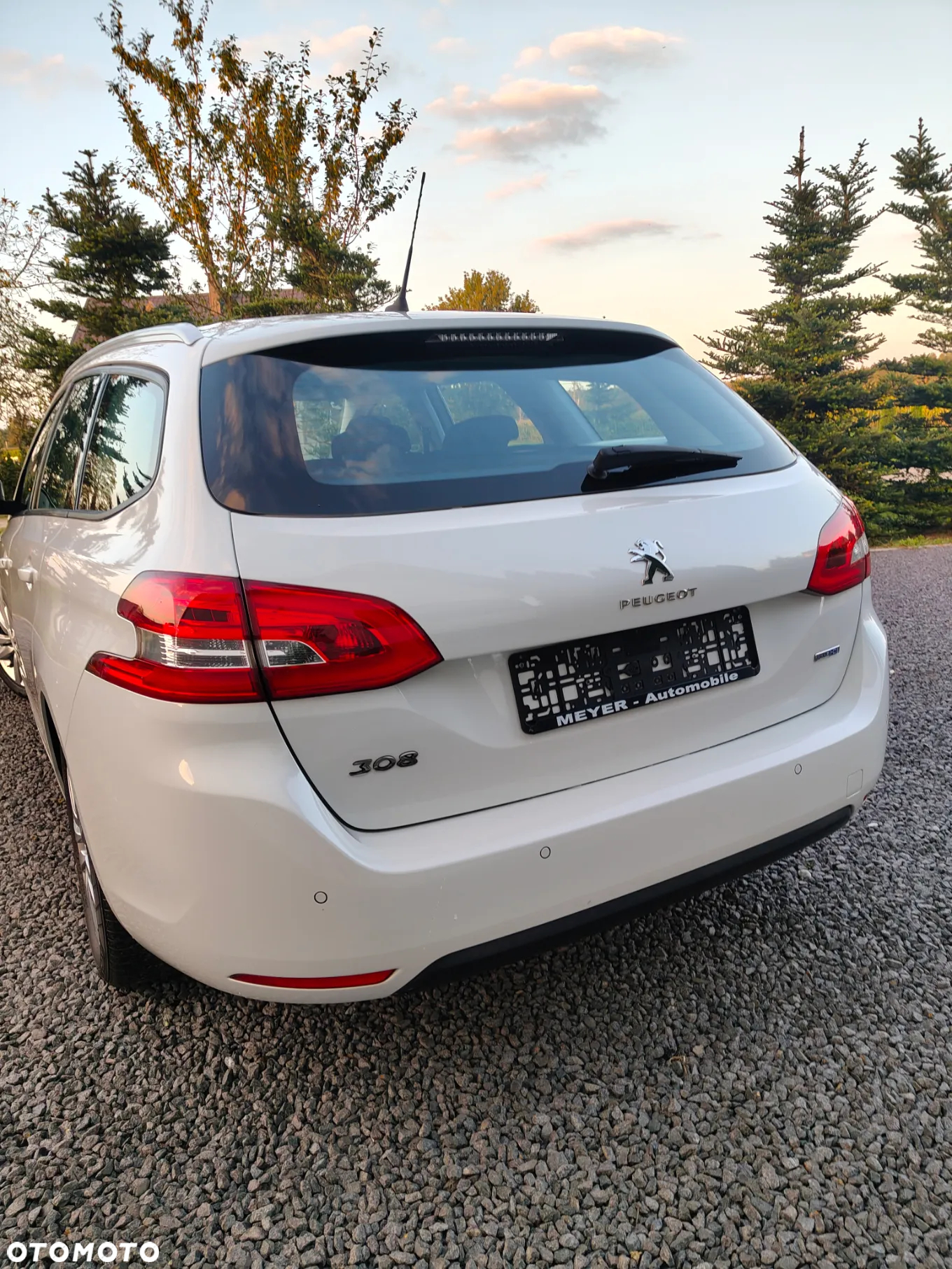 Peugeot 308 1.6 BlueHDi Business Line S&S - 38