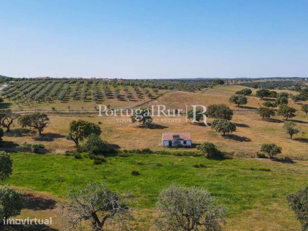 Herdade com 22,62 ha confinante com barragem - Grande imagem: 3/50