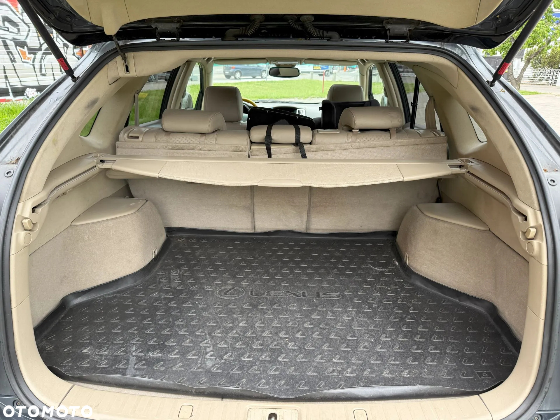 Lexus RX - 10