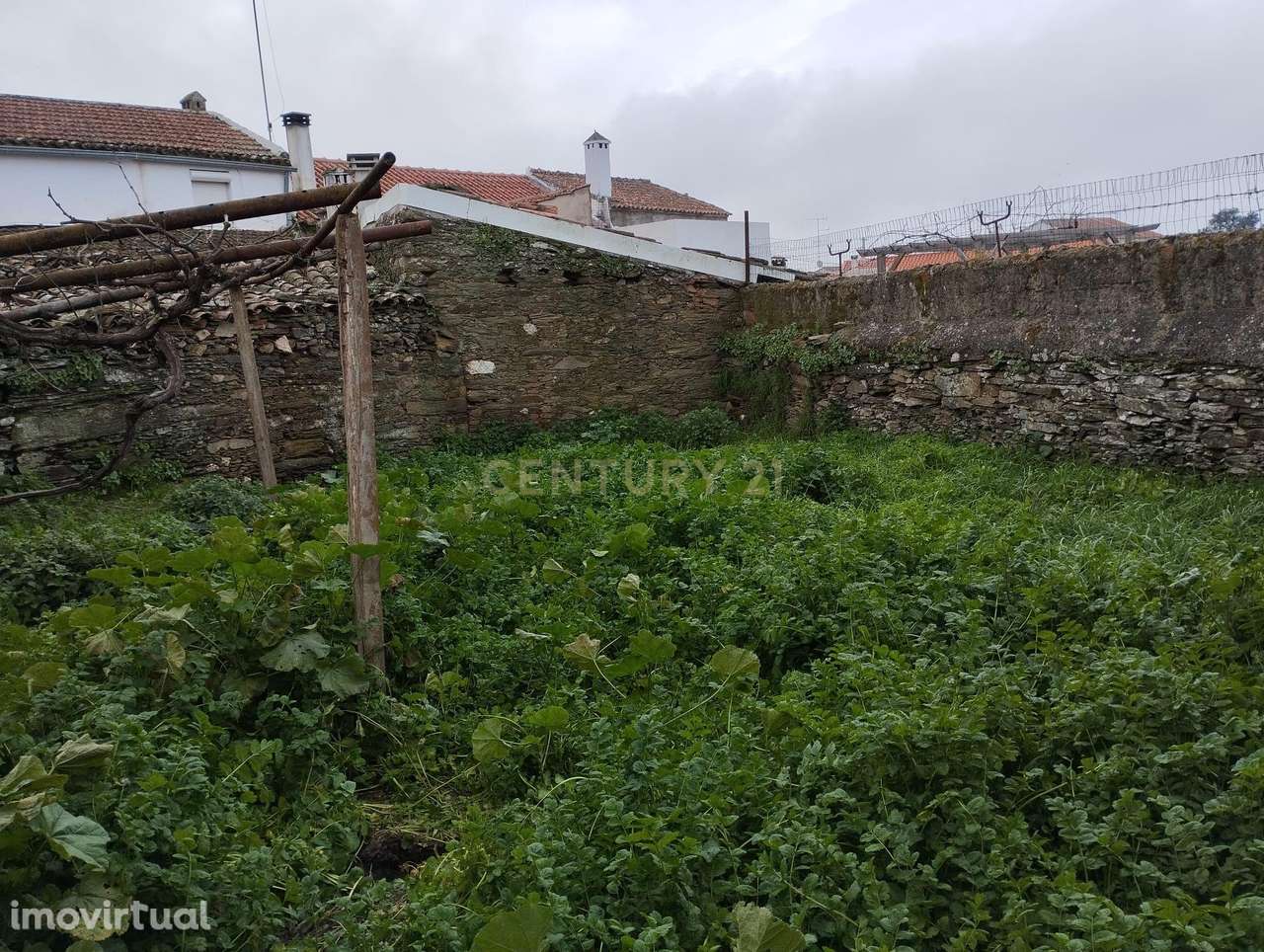 Refúgio nos Amarelos, Castelo Branco - Grande imagem: 5/16