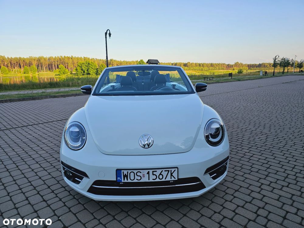 Volkswagen Beetle - 16