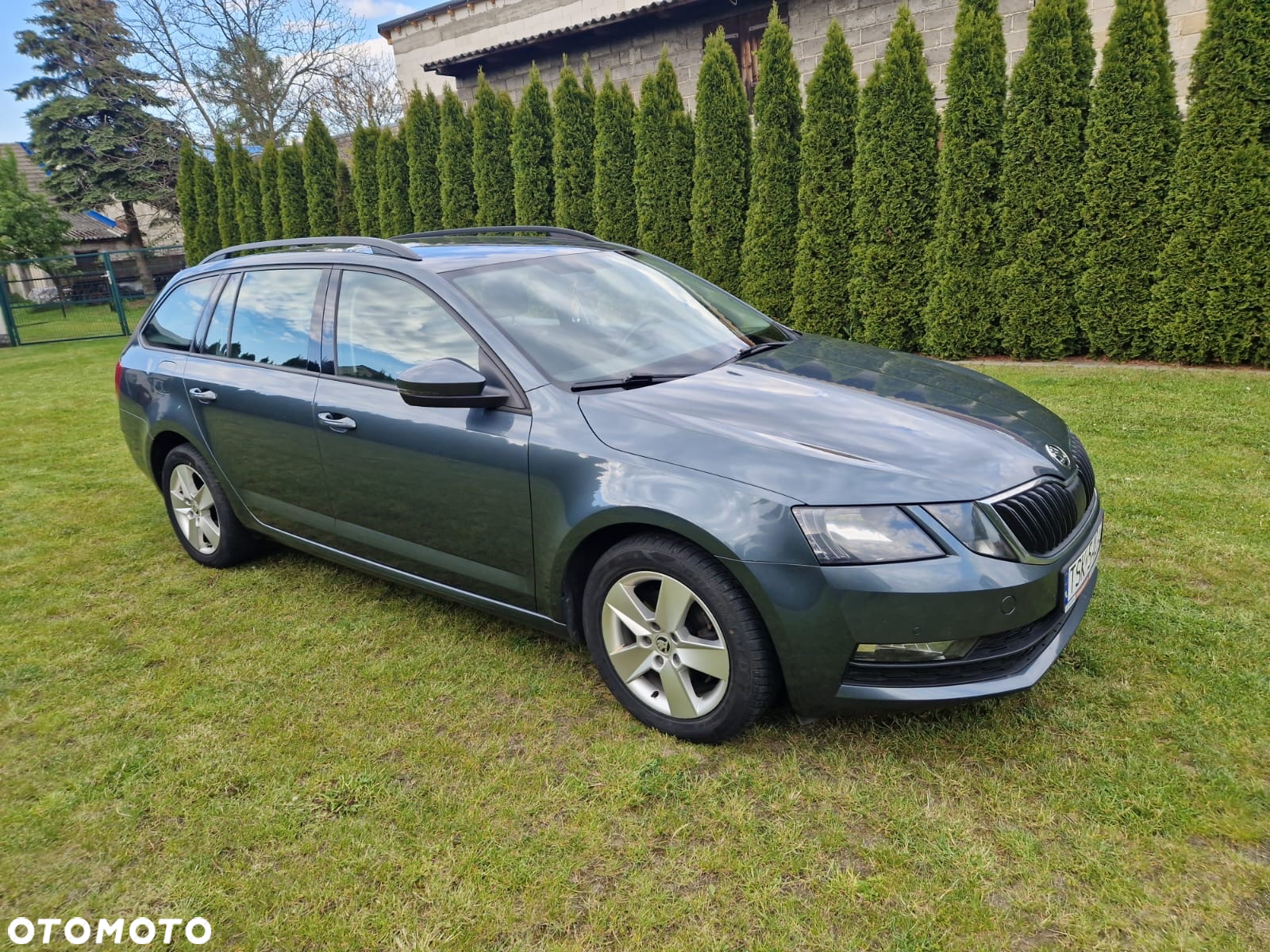 Skoda Octavia - 3