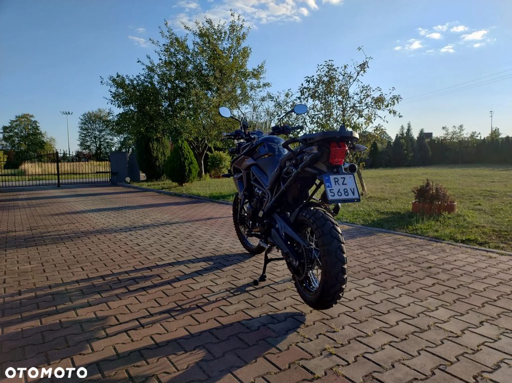 Triumph Tiger - 4