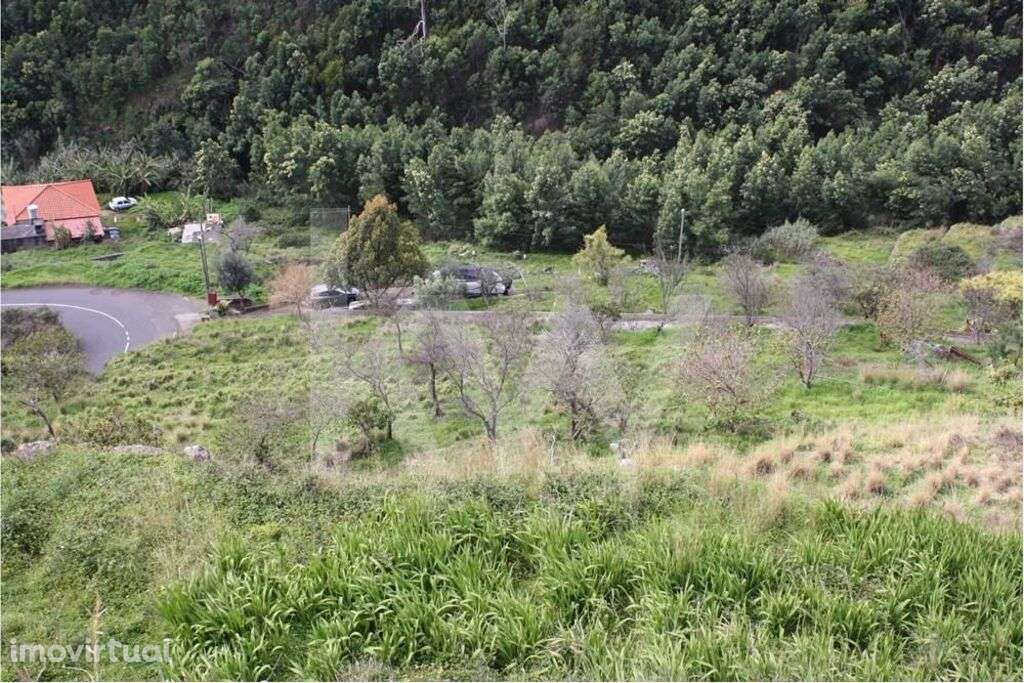 Terreno para construção situado em Gaula, Santa Cruz com 2940 m2 | Opo - Grande imagem: 3/9