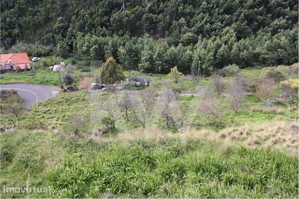 Terreno para construção situado em Gaula, Santa Cruz com 2940 m2 | Opo - Grande imagem: 3/9
