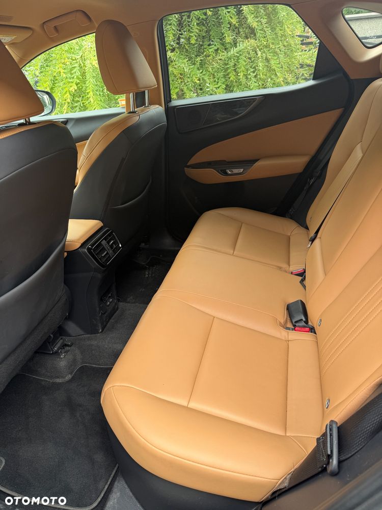 Lexus NX 350h Prestige 2WD - 10