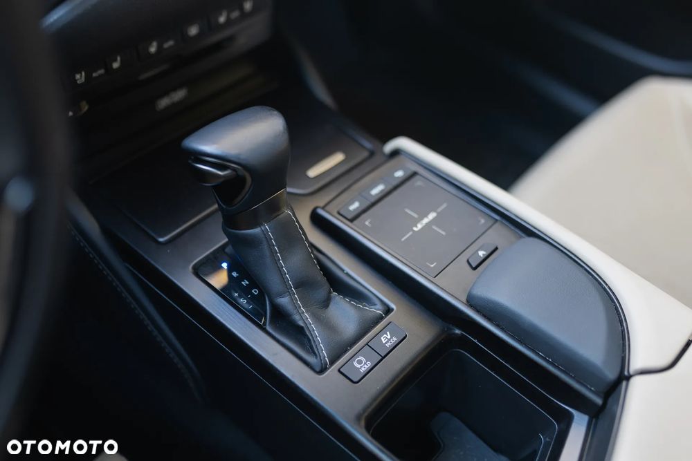 Lexus ES 300h Omotenashi - 18