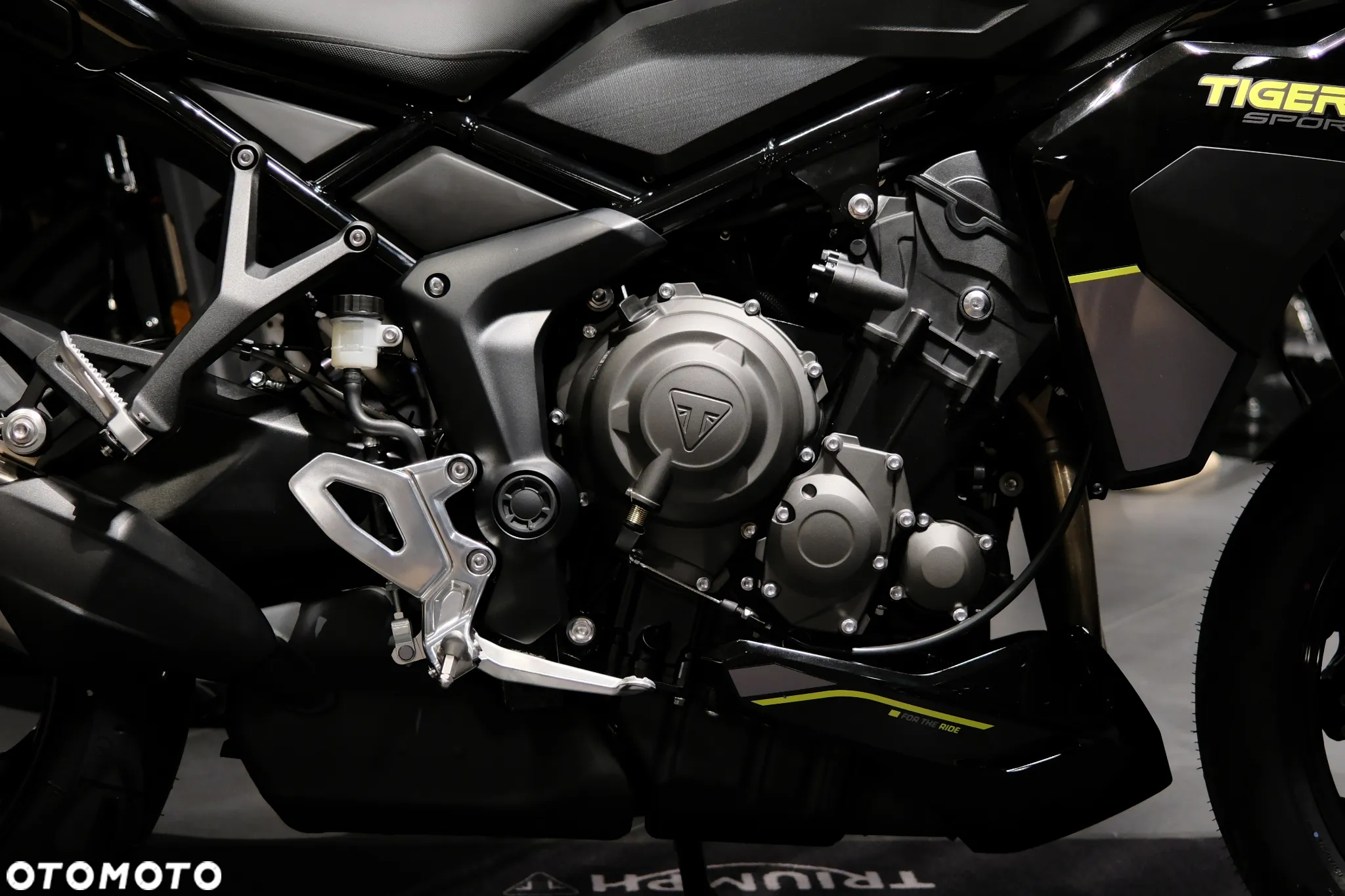 Triumph Tiger - 7