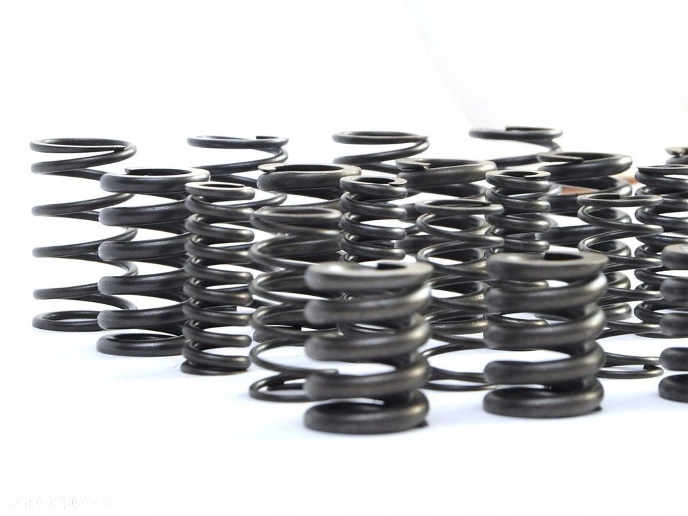 ZESTAW naprawczy SPRĘŻYNY TŁUMIKA DRGAŃ MPS6 6DCT450 - 3