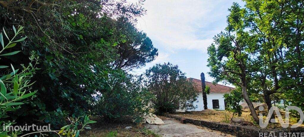 Casa / Villa T3 em Loivo de 236,00 m2 - Grande imagem: 5/30