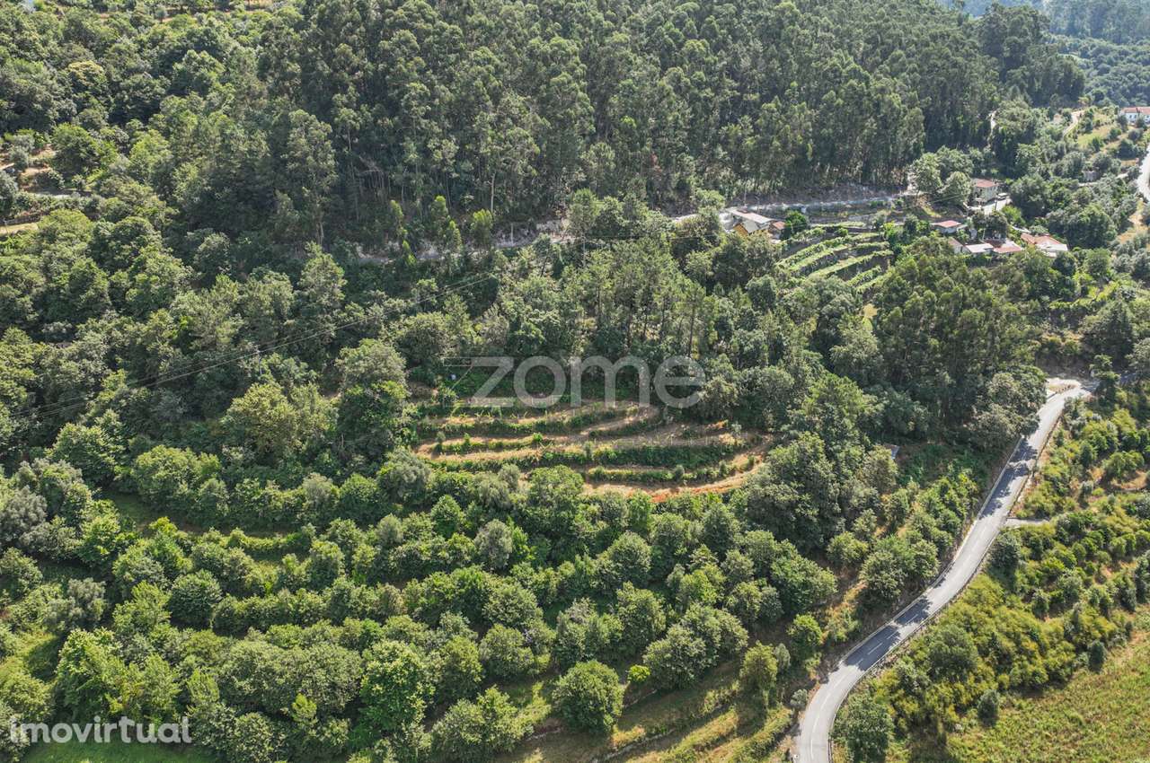 Terreno Rústico com Nascente em Seramil - Grande imagem: 4/16