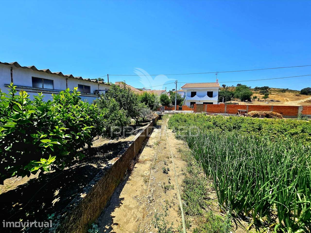 Moradia T4 com Armazém e terreno - Grande imagem: 3/32