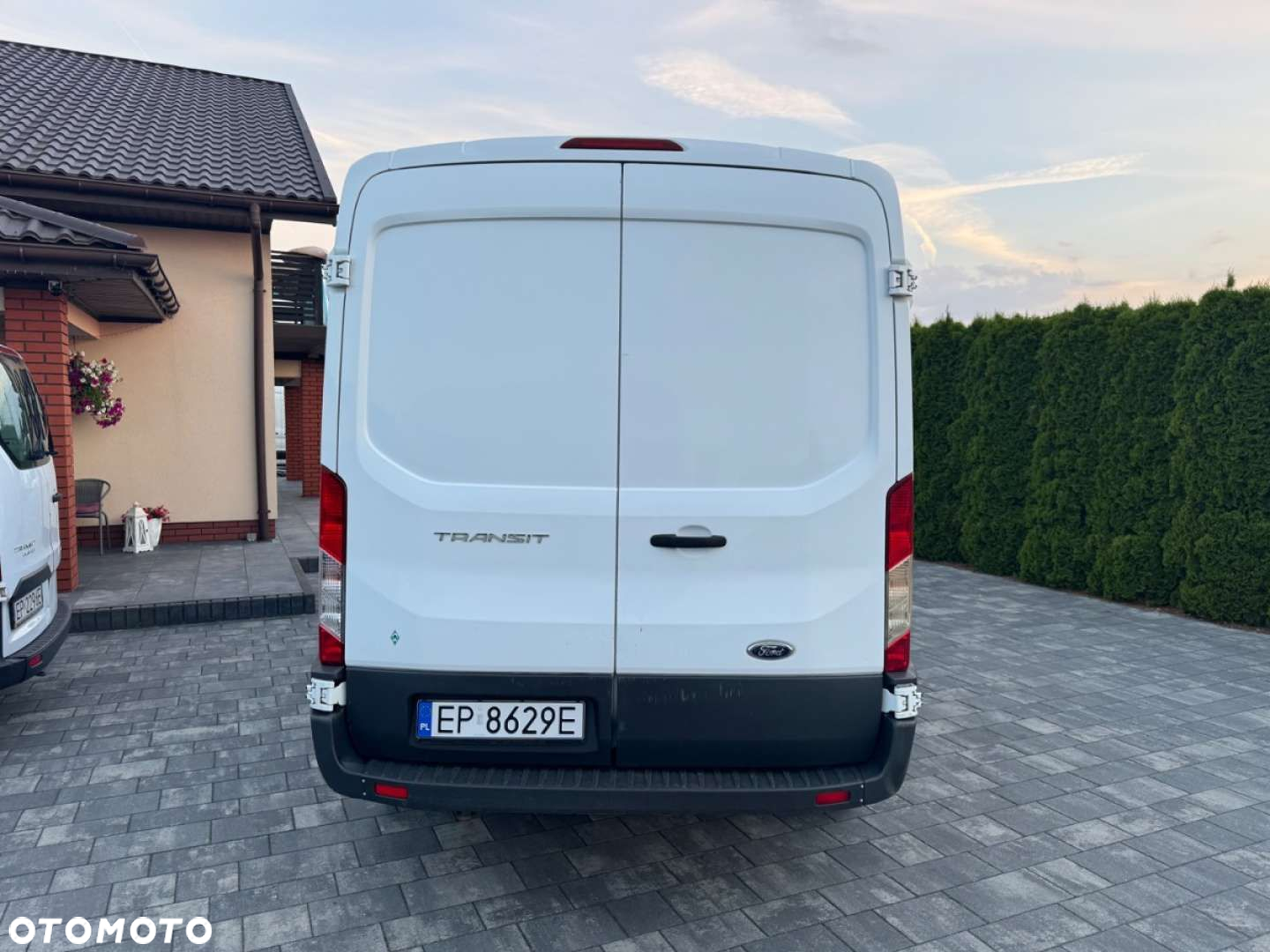 Ford Transit - 7