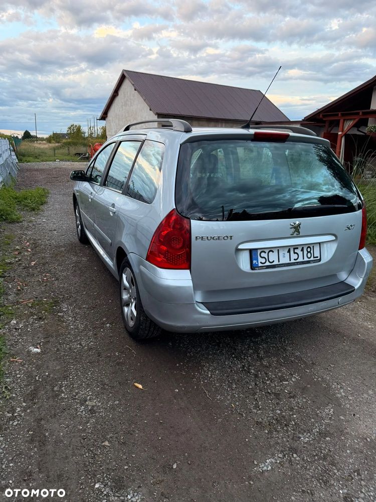 Peugeot 307 1.6 Trendy - 19