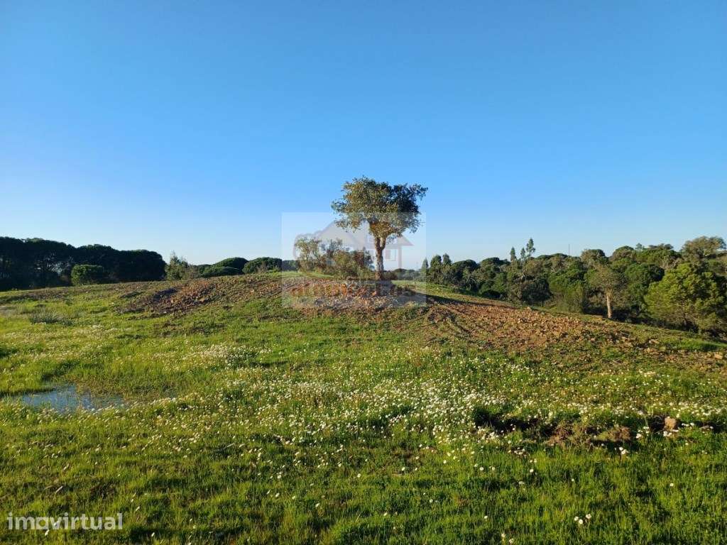 Pronto a construir - PROJECTO APROVADO e vista mar - Grande imagem: 3/18