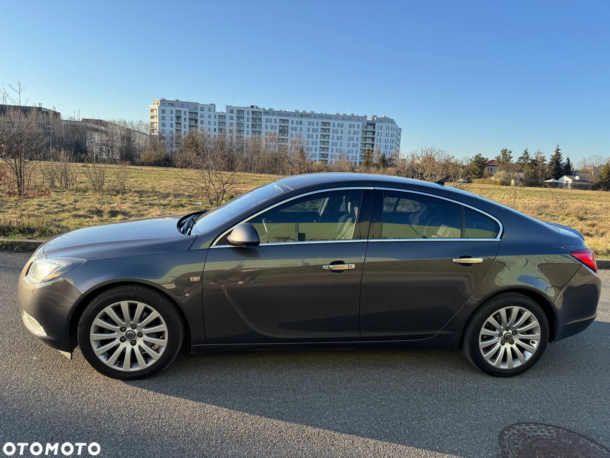 Opel Insignia 2.0 CDTI Cosmo - 1