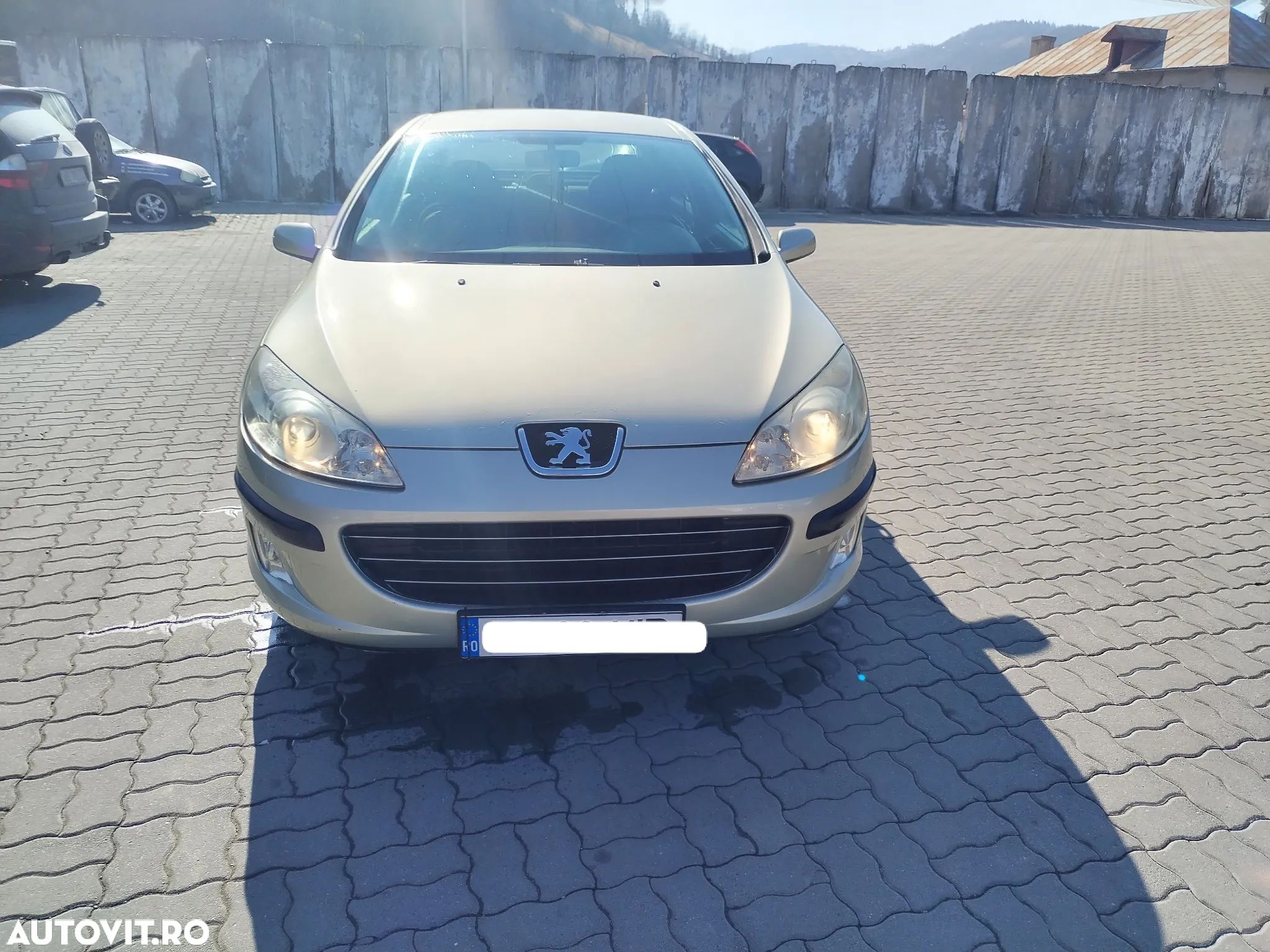 Peugeot 407 - 1