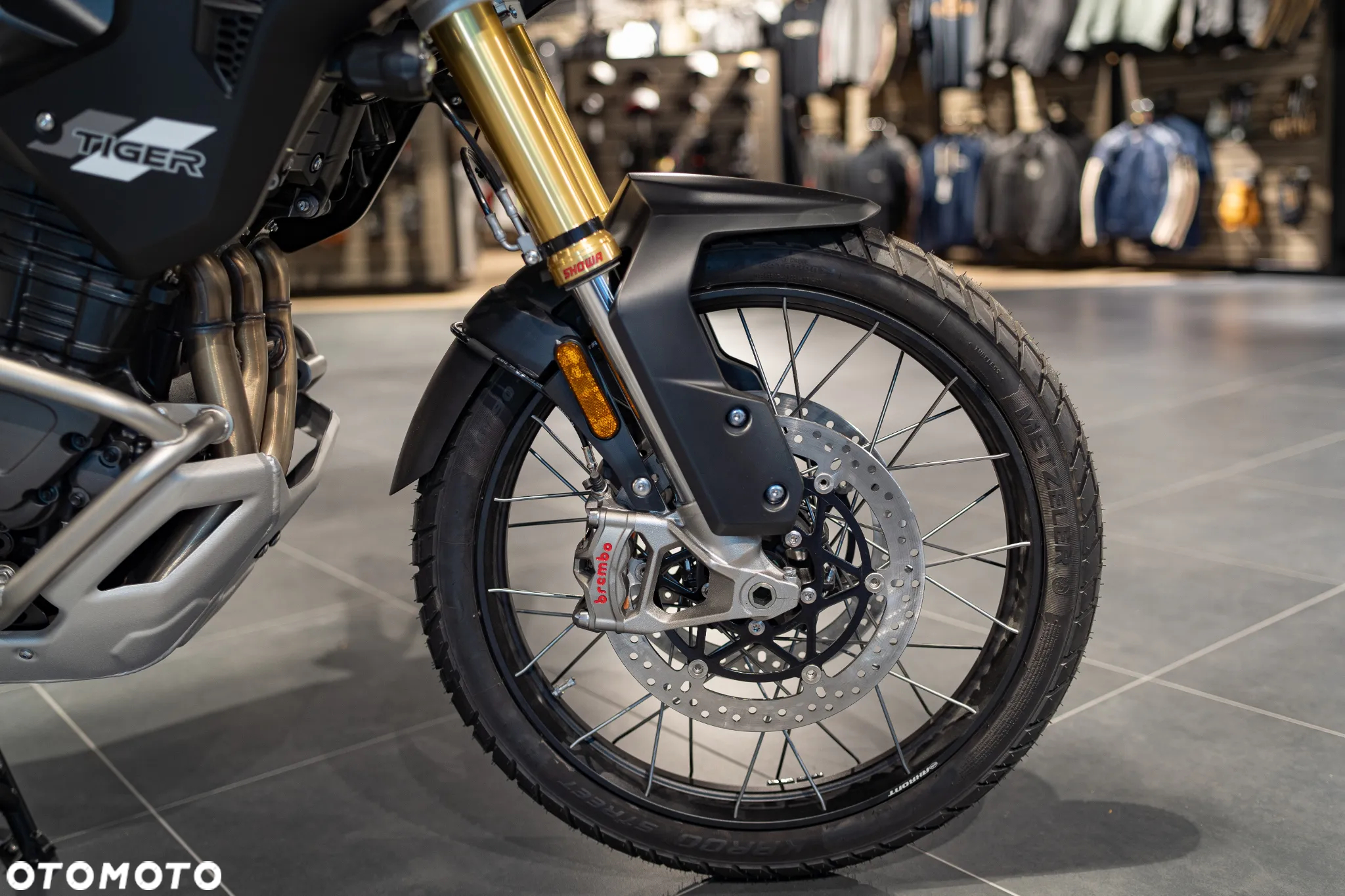 Triumph Tiger - 12