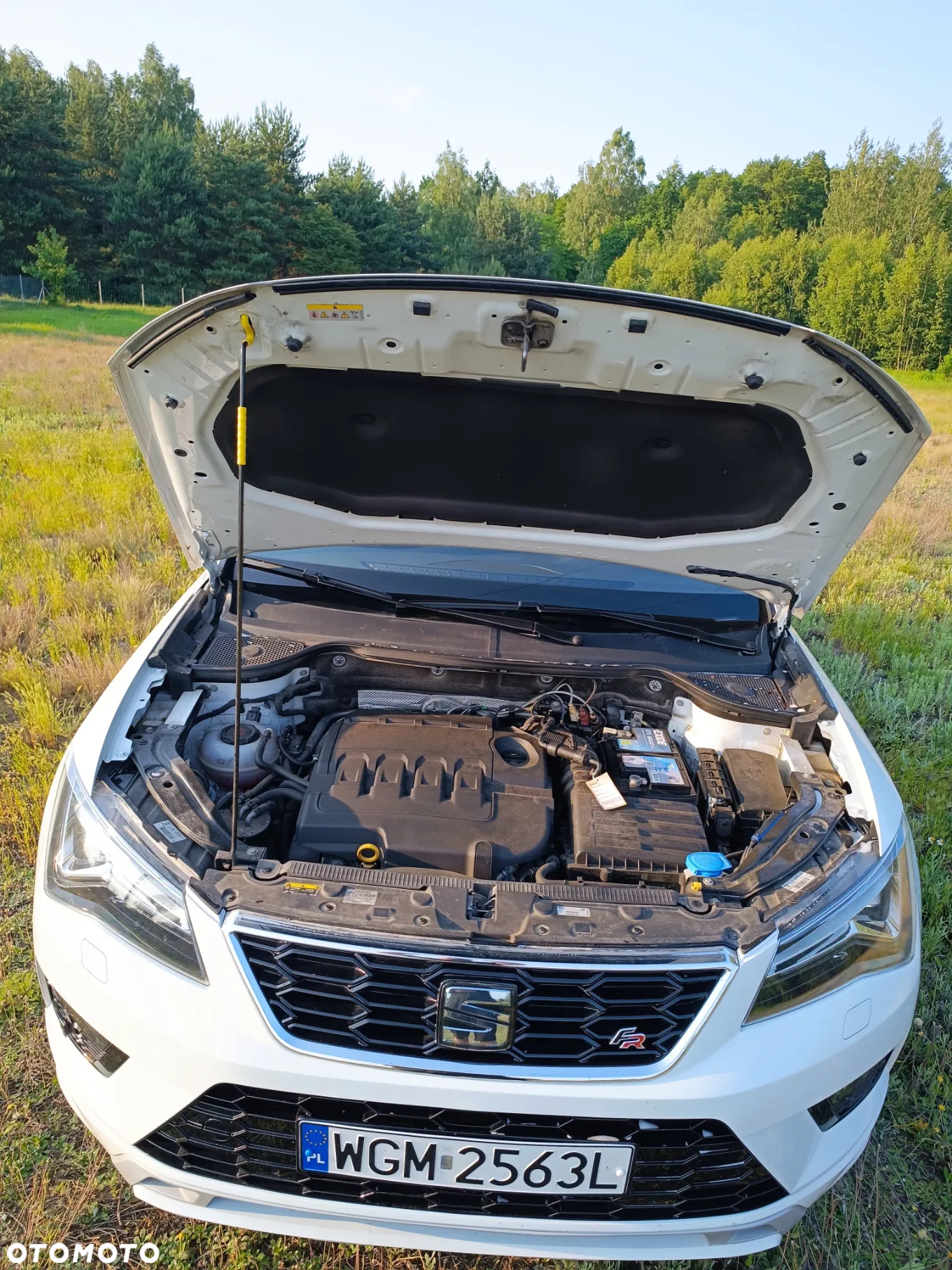 Seat Ateca 2.0 TDI 4Drive DSG FR - 13