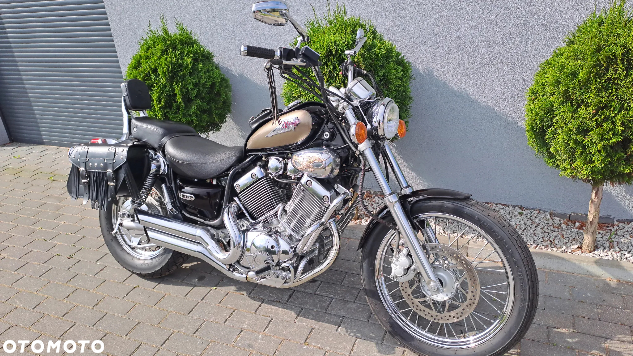 Yamaha Virago - 3
