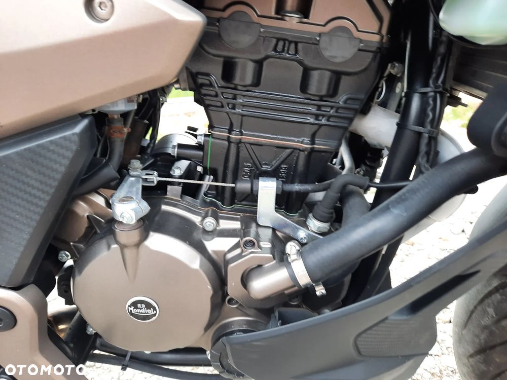 Aprilia Tuono - 16