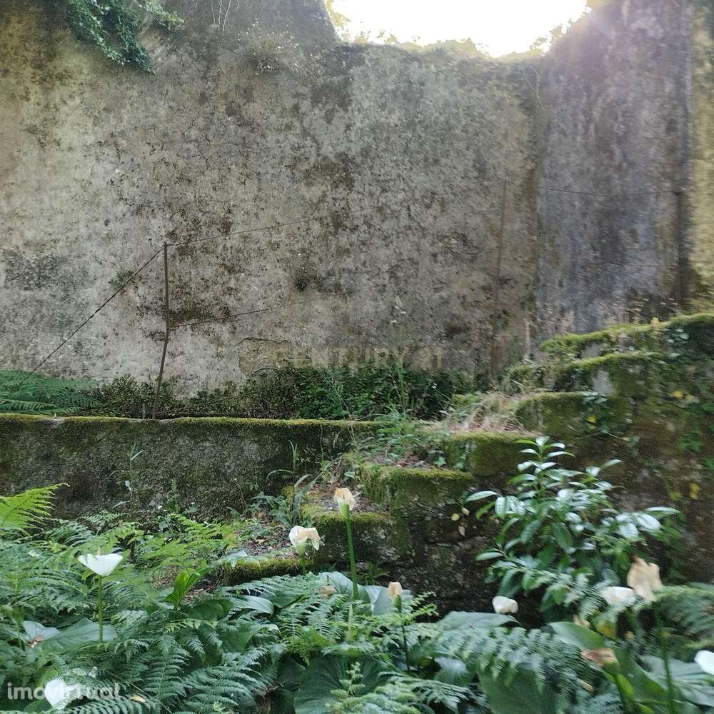 Casa em Ruínas em Anais, Ponte de Lima - Oportunidade Única - Grande imagem: 5/18