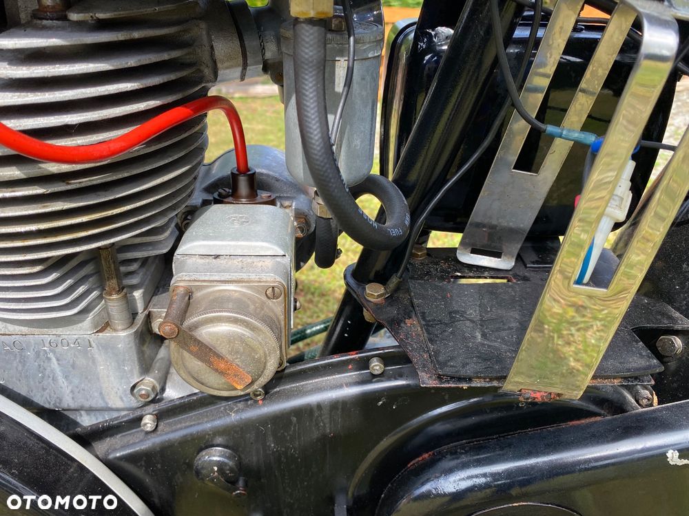 BSA Inny - 21