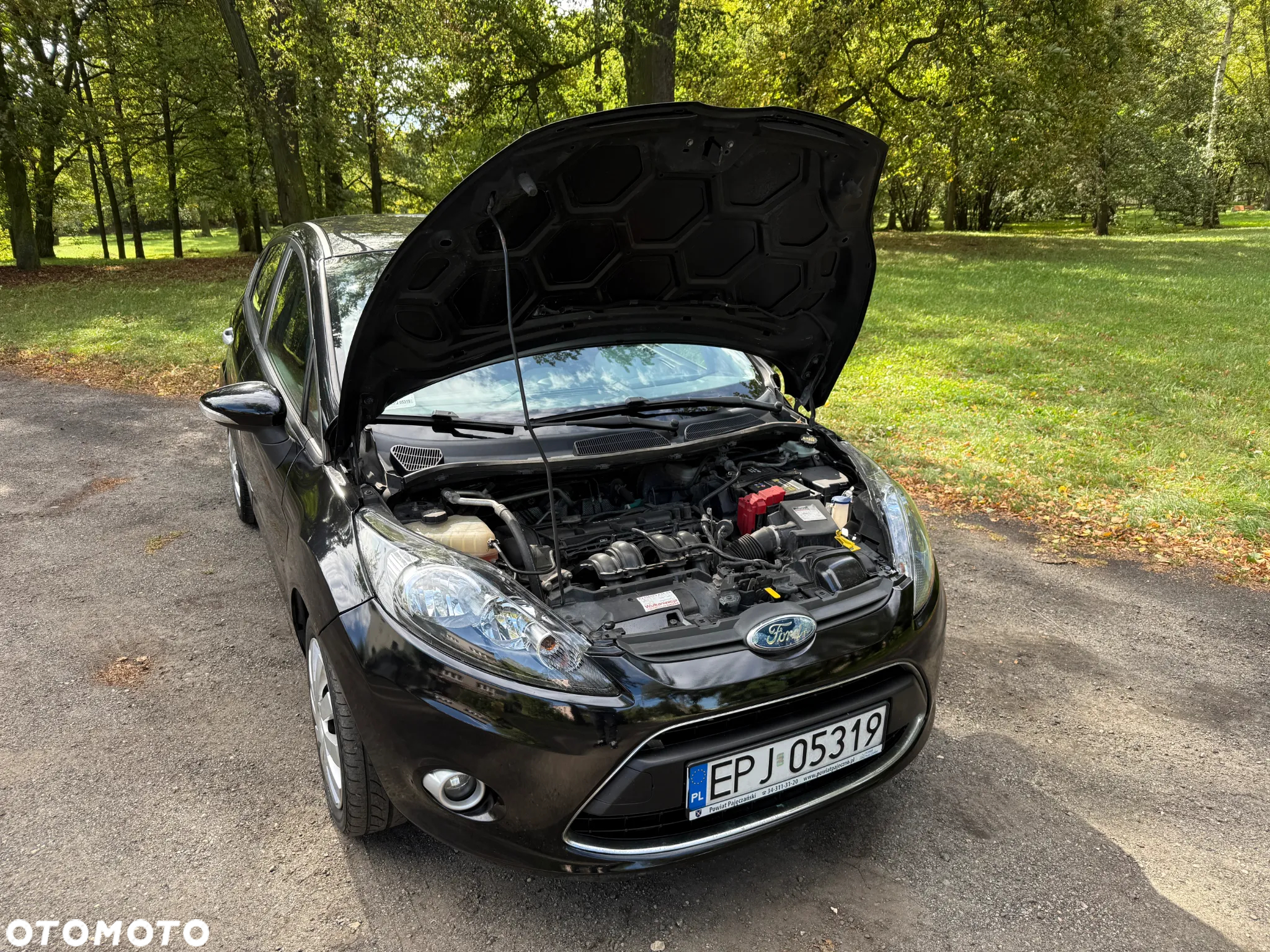 Ford Fiesta 1.4 Silver X - 29