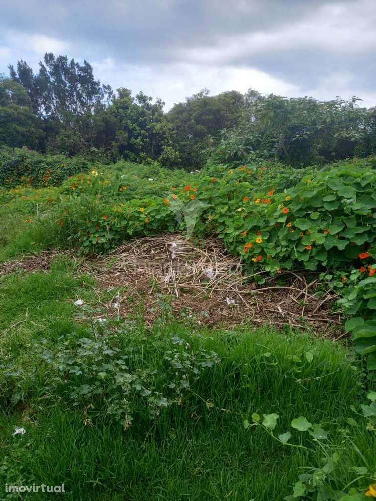 Terreno Urbanizável no Porto Martins - Grande imagem: 4/10