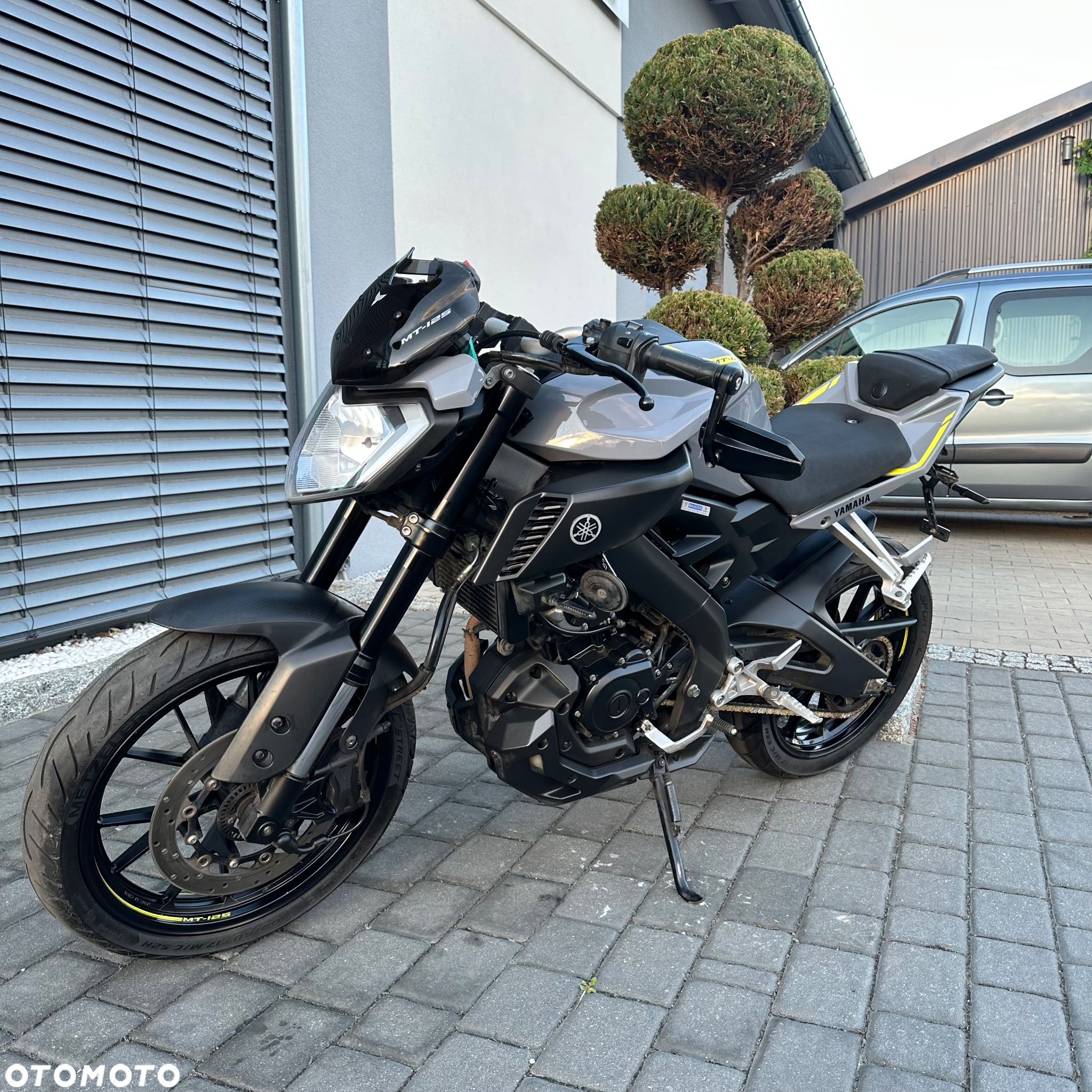 Yamaha MT - 6