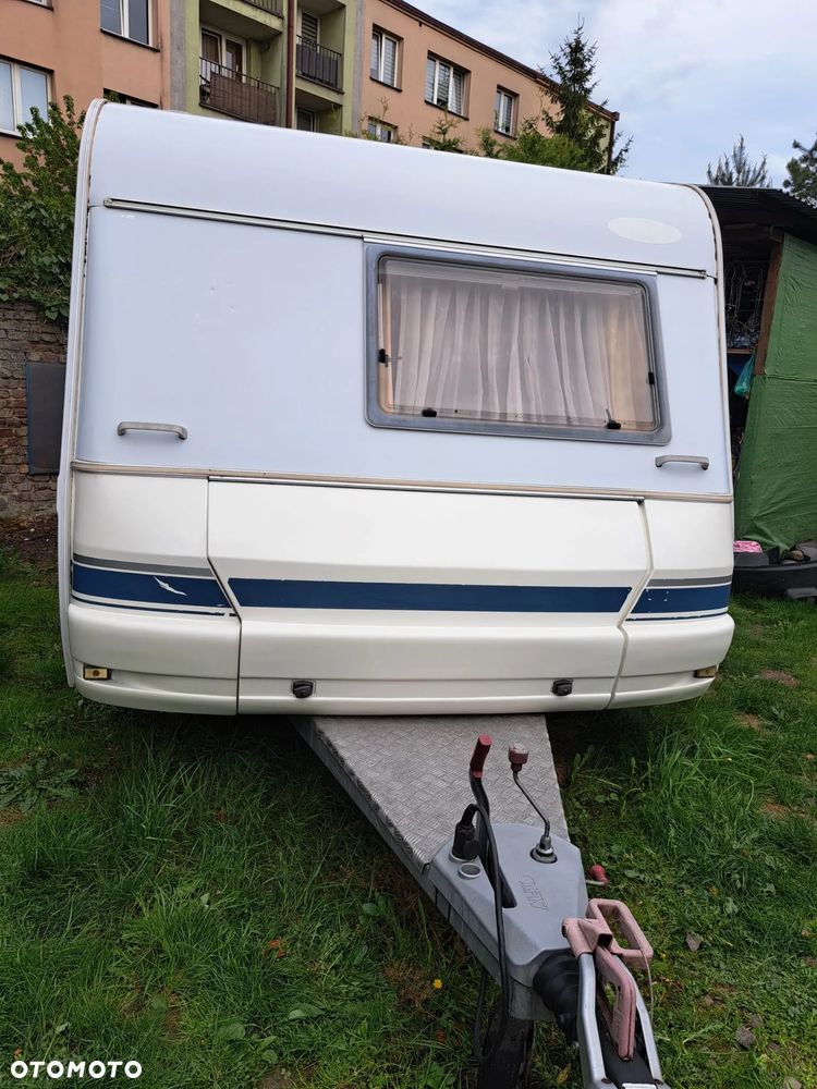 Wilk SPORT 490 - 1