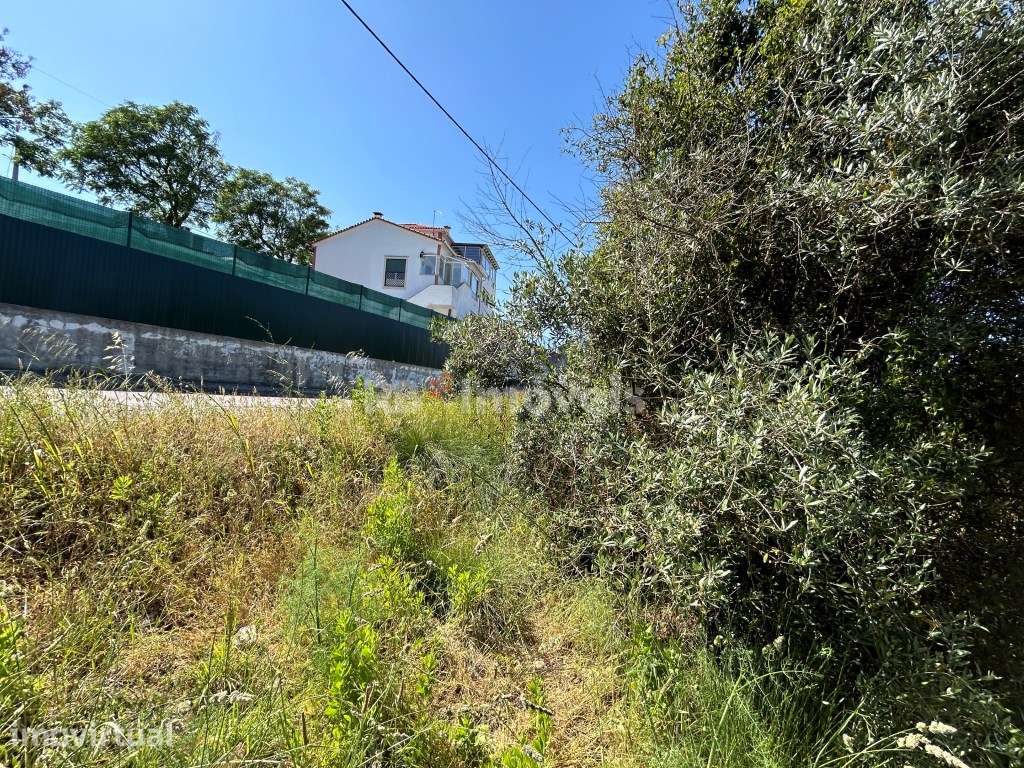 Lote de terreno urbano com 1502 m2 - Tomar - Grande imagem: 5/31
