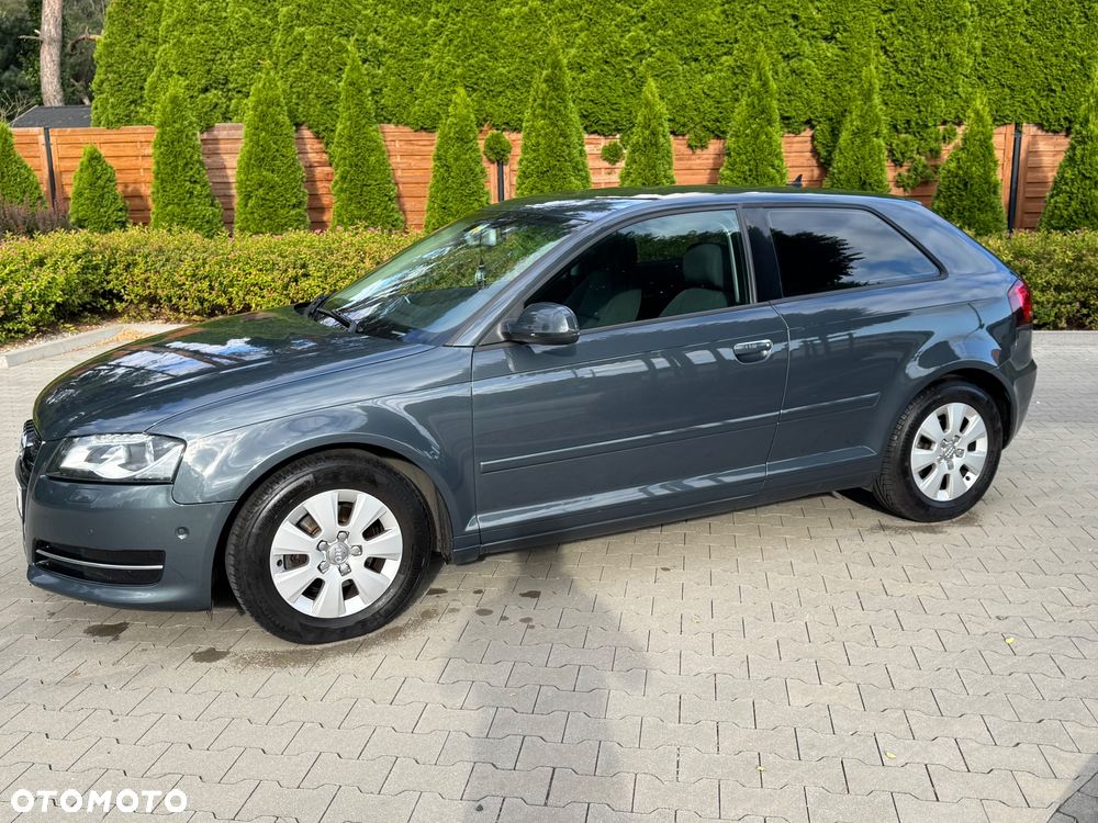 Audi A3 3-drzwiowe 1.6 TDI Attraction - 10