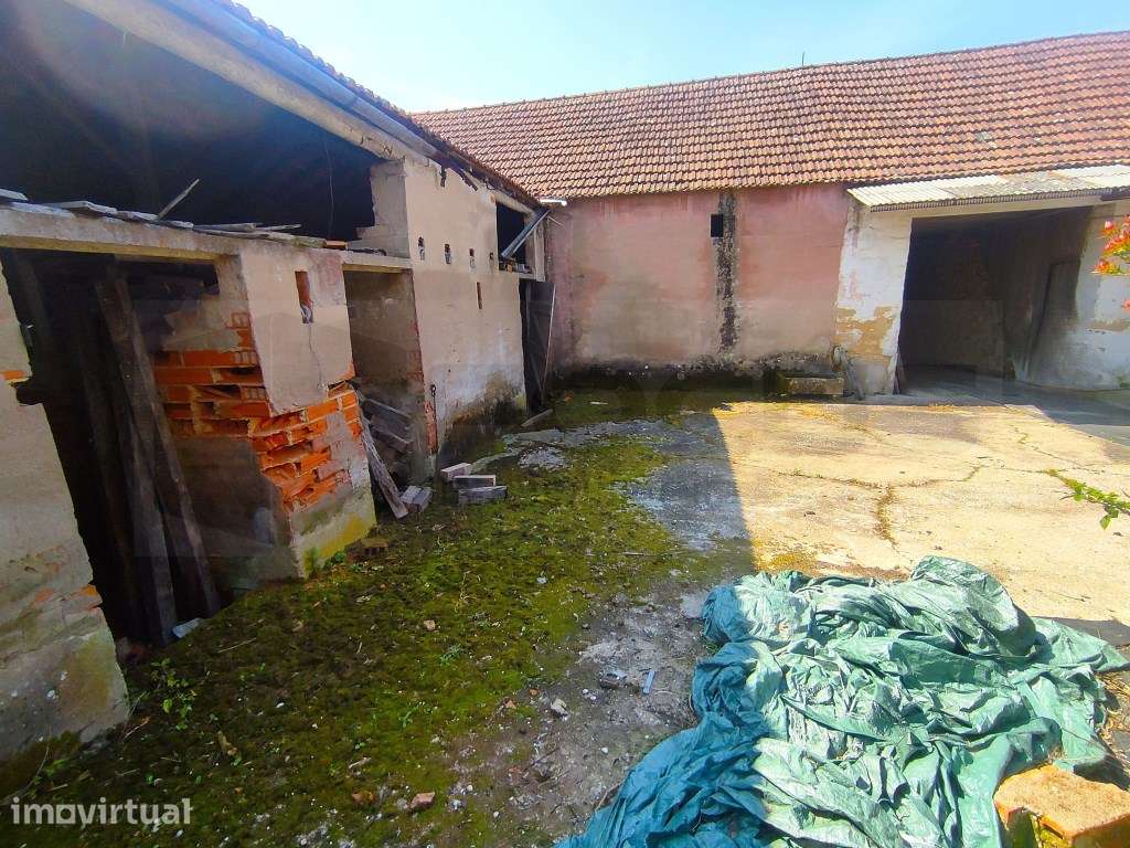Moradia térrea para restauro - ás portas da cidade Aveiro - Grande imagem: 2/31