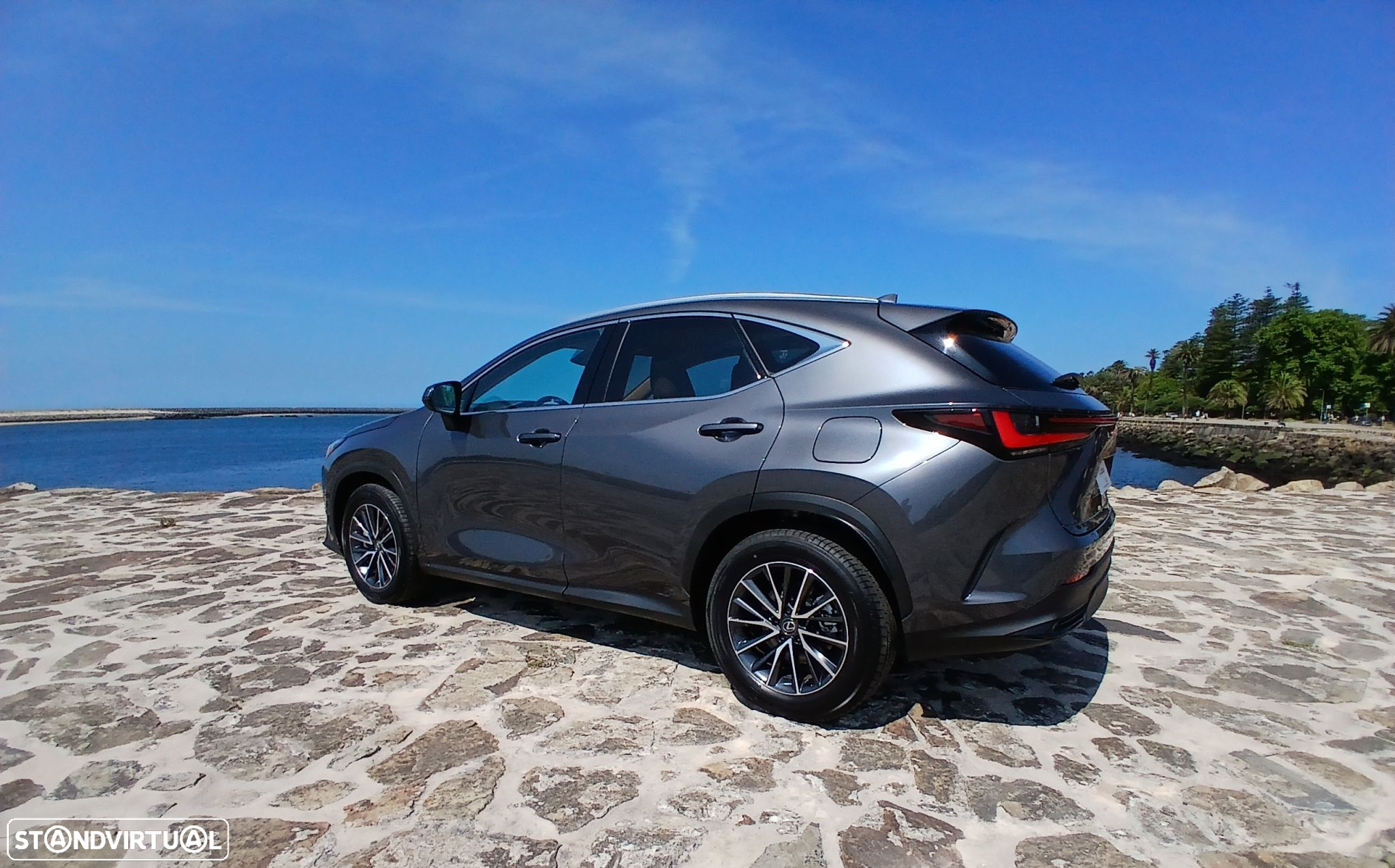 Lexus NX 450h+ - 5