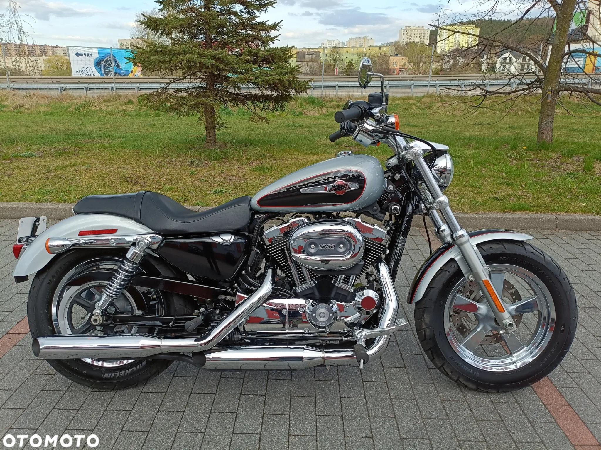 Harley-Davidson Sportster Custom 1200C - 2