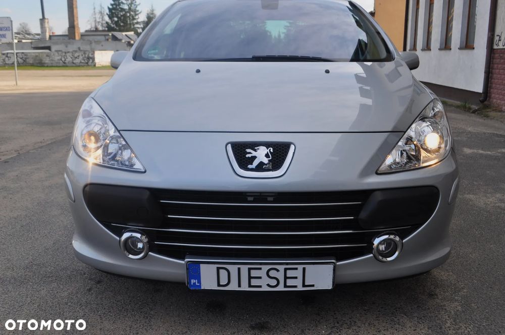 Peugeot 307 - 28