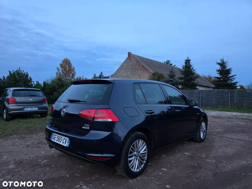 Volkswagen Golf 1.6 TDI BlueMotion Technology DSG Cup - 6