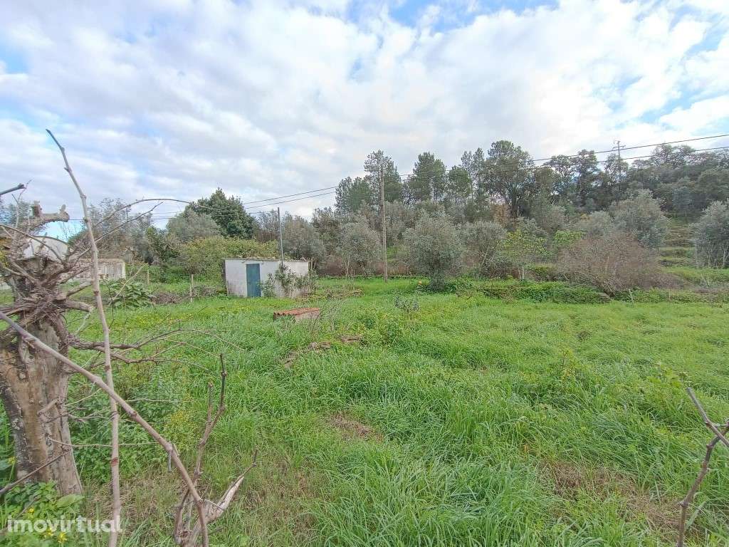 Dois terreno para venda com viabilidade de construção - Grande imagem: 3/3