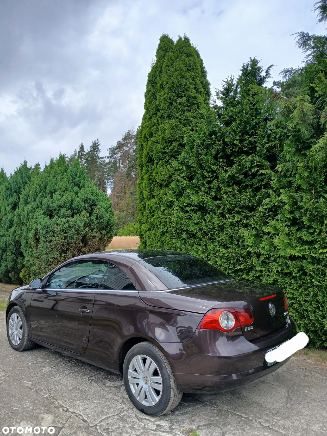 Volkswagen Eos 2.0 TDI DPF - 3