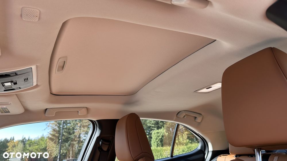 Lexus UX 250h GPF Prestige AWD - 20