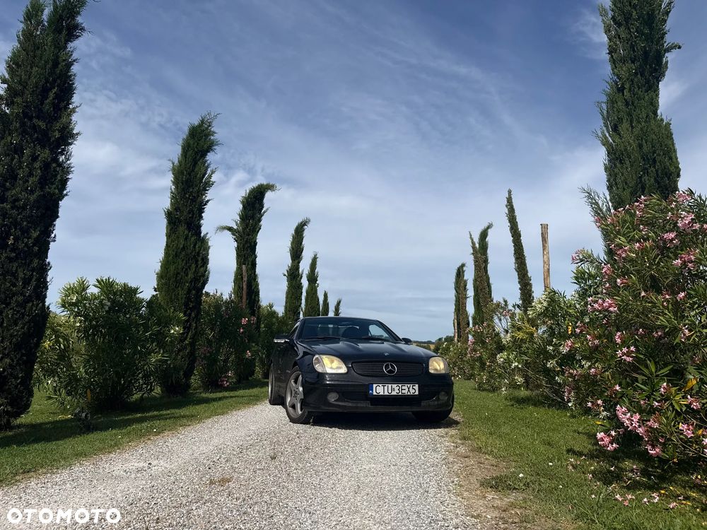 Mercedes-Benz SLK - 40