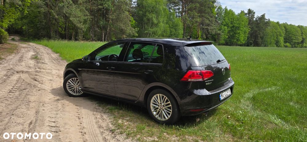 Volkswagen Golf 1.6 TDI BlueMotion Technology Cup - 2